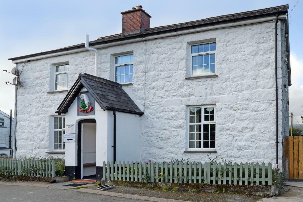 Bwch Yn Uchaf B&B Llanuwchllyn 외부 사진